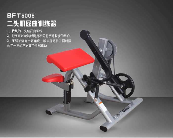 坐式二头肌污污丝瓜视频